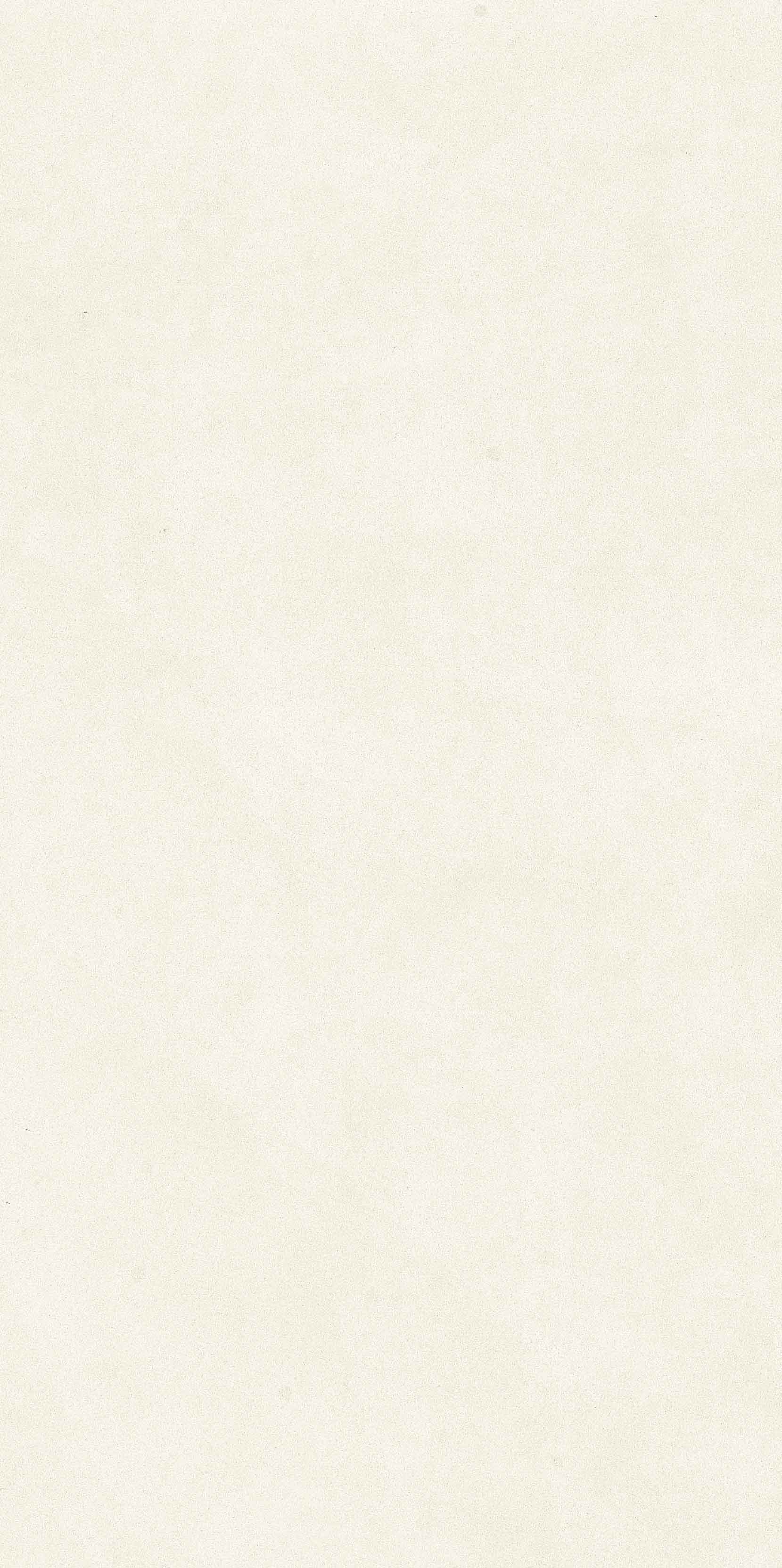 帕戈斯 珍珠白(子母砖)